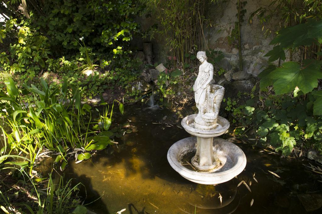 Aux Charmes De Maintenon Exteriér fotografie